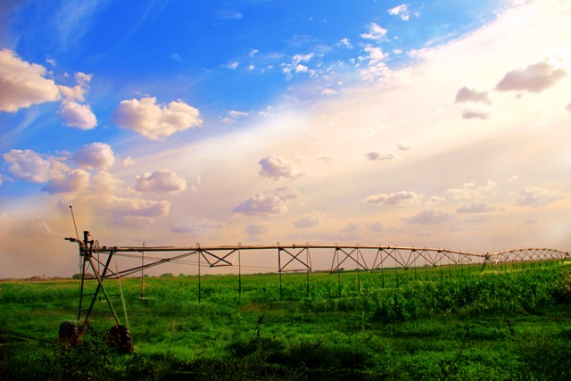 Projet du Développement Intégré de l’Agriculture de Tiznado au Venezuela